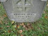 image of grave number 46466